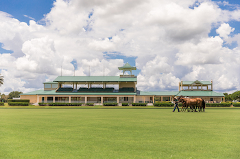 The Villages Polo Club Facilities