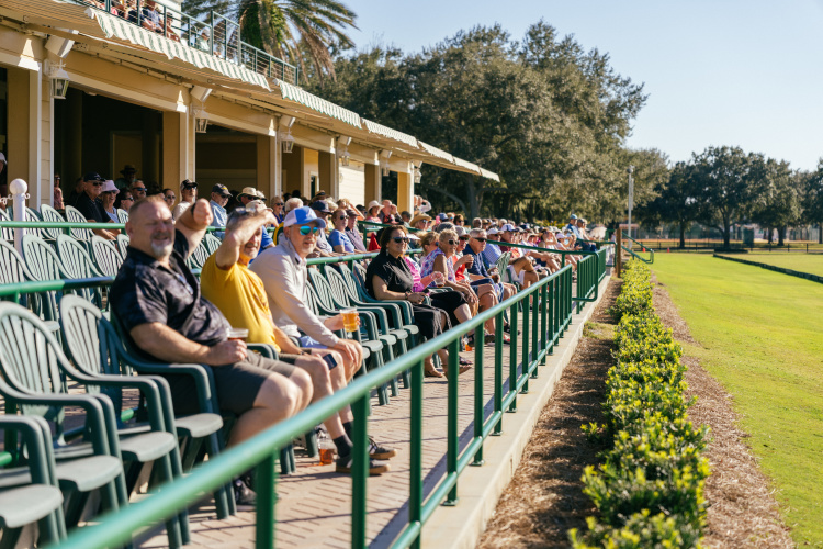 spectators sitting in front row at a Polo match