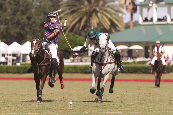 Polo player hooking a opponent's mallet above shoulder height