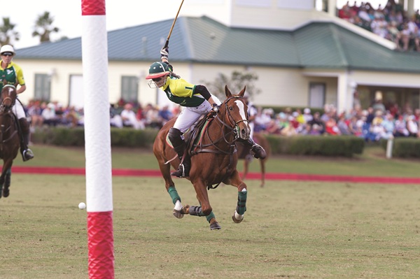 A polo player hitting a bouncing ball far from the horse