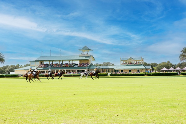 A Polo Match Played in Front of Fans