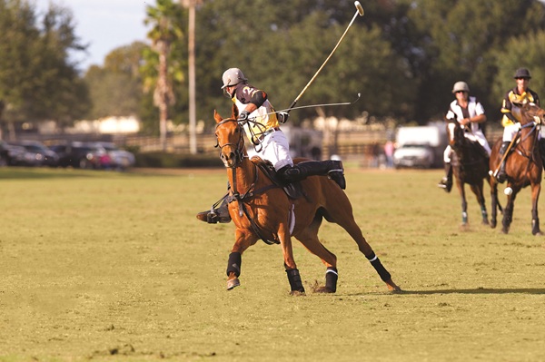 A polo player hitting the ball backwards from under the horse's tail
