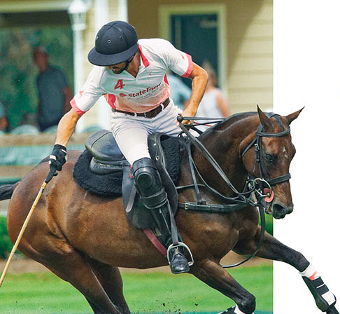 polo player and pony