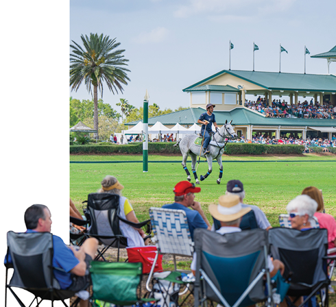 crowd watching a polo match