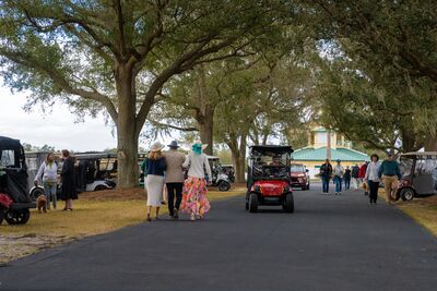 Polo stadium drives lined with trees